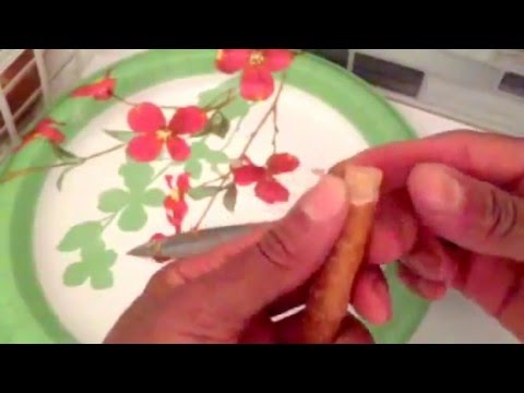 How To Prepare and Use Miswaak Natural Tooth Stick