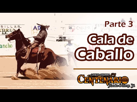CALA DE CABALLO part 3 - LCH El Centenario, Zacoalco 2019
