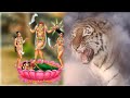Jogni Ma Status Song Suresh Zala