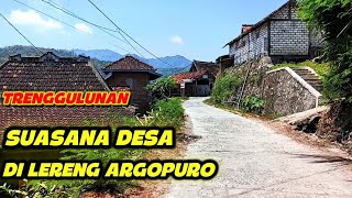Download lagu Desa tersembunyi di lereng gunung Argopuro mp3 Download lagu Desa tersembunyi di lereng gunung Argopuro mp3