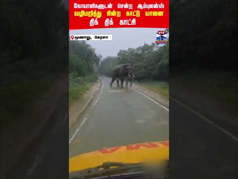 Elephant | Road Block | Patient | Ambulance |