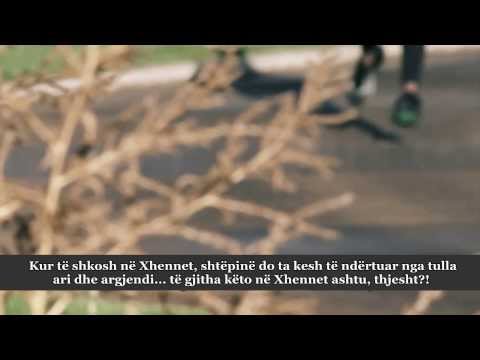 Provimi për jetën e përtejmeᴴᴰ┇Përkujtues i dobishëm┇nga Ustadh Mexhid Mahmud