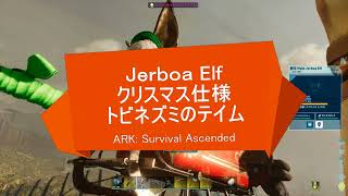 【ASA公式】X’mas仕様トビネズミJerboa Elfのテイム🐭🎅／リニオグナタに乗って空中戦🛷【2024クリスマスイベント】