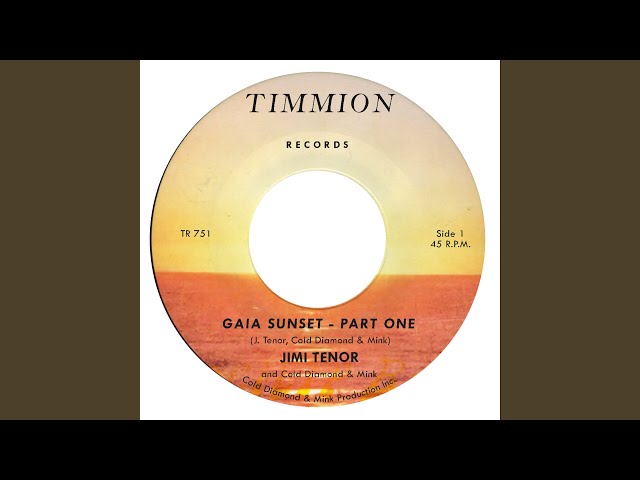 La Vida Musical de Jimi Tenor
