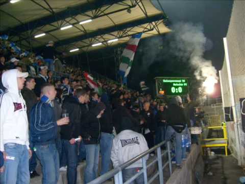 ZTE-haladás '08-11-15