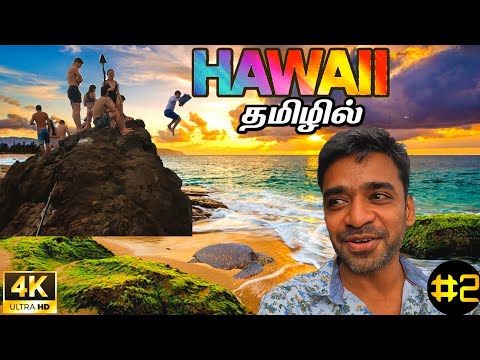 🧗‍♂️குதிக்கலானு தான் பாத்தேன்..ஆனா?|4K Hawaii Ep2