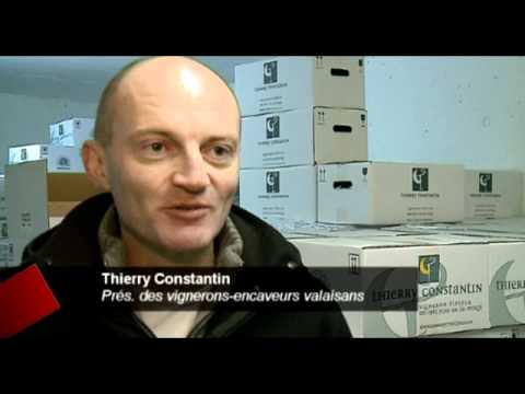 comment declarer vendange