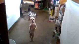 ����, ����� ������� �����!