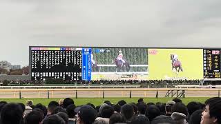 ジャパンカップ2023本馬場入場