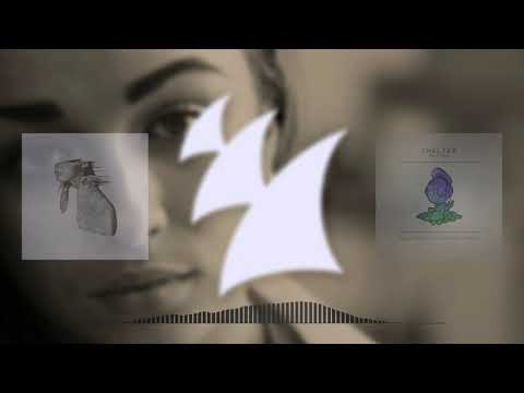 Dash Berlin & Coldplay & Roxanne Emery - Shelter Scientist