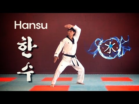 WT Taekwondo Black Belt Poomsae Hansu | 품새 한수 | TaekwonWoo