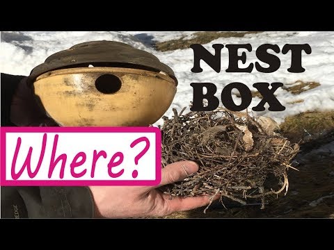 download lagu mp3 mp4 Wren House, download lagu Wren House gratis, unduh video klip Wren House