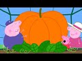 La Calabaza Gigante Peppa Pig En Español Episodios Completos