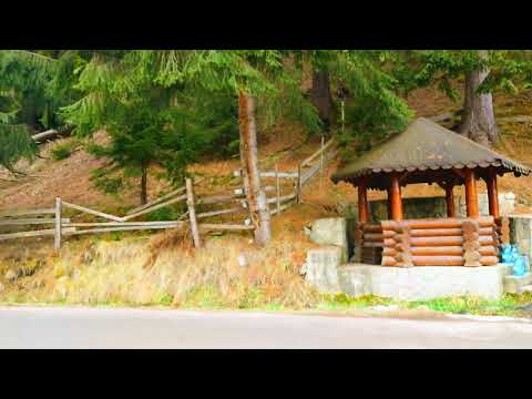 Pojorâta 2023 februarie