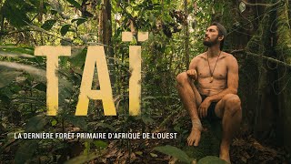 Expédition de NICO dans la forêt de Taï en Côte d'Ivoire