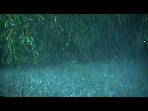 Beat Tinnitus with Heavy Rain on Lake, Calm Thunder in Deep Forest   Real Rain Sounds for Sleeping