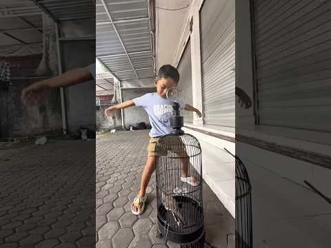 Vano & Mami dapat Burung 🐦‍⬛ #vanodakarosa