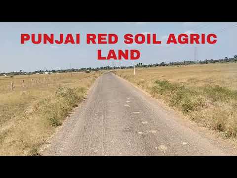 10 Acre Agricultural/Farm Land for Sale in Nanguneri, Tirunelveli