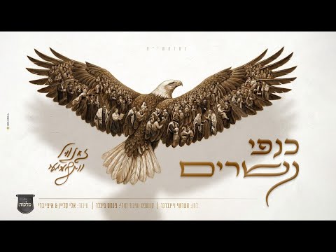 זאנוויל ויינברגר - כנפי נשרים | Zanvil Weinberger