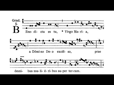 Immaculate Conception of the Blessed Virgin Mary - Graduale (Benedicta es tu)