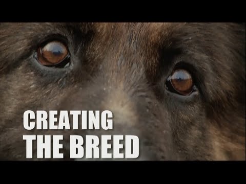 'Creating The Breed' - 'The Breed' (2006) making-of featurette.