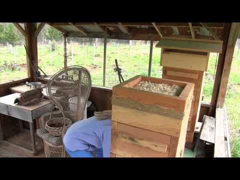 Feeding a Hive in Spring
