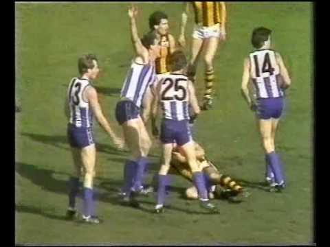 VFL 1st SF 1982 - Hawthorn v North Melbourne