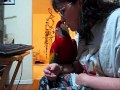 Skittles Playing W Mommy 1 Wmv