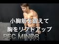 小胸筋を鍛えて大胸筋をリフトアップ[PEC MINOR]