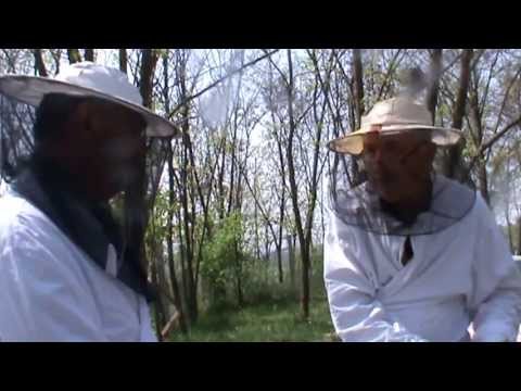 Un apicultor pe stupi clasici a dorit sa vada performanta "Bio Stupului - Ioan Ursu" in practica