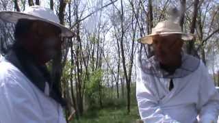 preview picture of video 'Un apicultor pe stupi clasici a dorit sa vada performanta Bio Stupului - Ioan Ursu in practica'