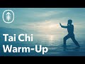 Tai Chi Warm Up Exercises Memorial Sloan Kettering