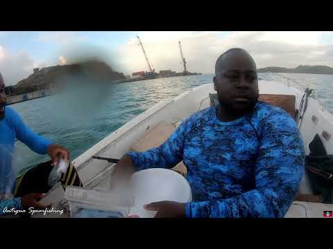 Antigua Spearfishing - PB Grouper (tank dive)