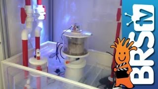 Review of Vertex RX-Z ZEOvit Reactors