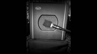 Video thumbnail for Supro Blues King 8 (1 Watt) Demo by TheFuzzHeadKing