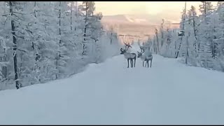 The beauty of Chukotka, Russia.