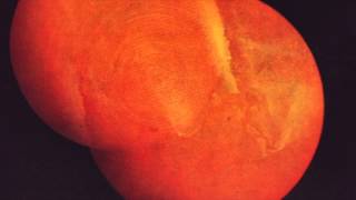 Casino Versus Japan - Nuclear Weapons Were Invented In 1945 (pt. 1-5)