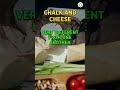 🧀 Chalk and Cheese: Exploring the World of Opposites! 🤯