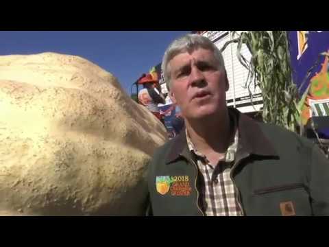 For the fourth time in the event's 40 year history, Oregon's Steve Daletas won the World Championship Pumpkin Weigh-Off in Half Moon Bay, California. (Oct. 8)