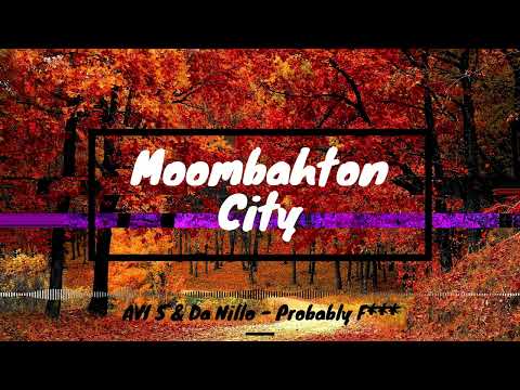 AVI S & Da Nilo   Probably F***