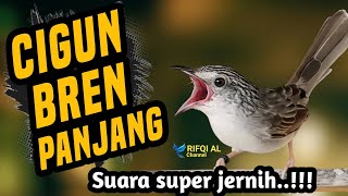 Download lagu DAHSYAT ! MASTERAN CIGUN BREN PANJANG JERNIH BANGET mp3