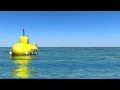 The Beatles - Yellow Submarine 3d cartoon 