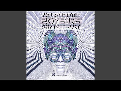 The Grid (Earthling & Virtual Light Remix)