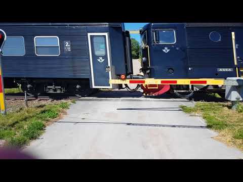 Tåg Öster Ut  8/7.18