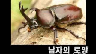 namzaeroman - penicillin