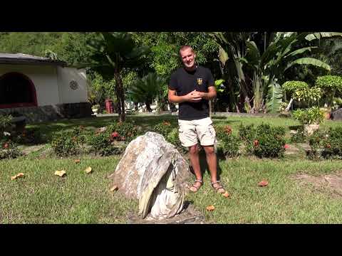 Stefan Czerniecki - "Za siódmą górą", odc. 251 - Objawienia Maryjne w Wenezueli!