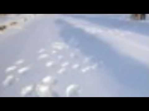 Creme Fresh - 3 Dinge