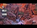 Havasupai Day 1 The 10 Mile Hike Down To Havasu Falls