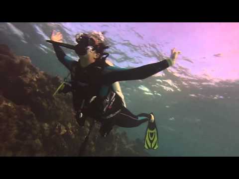 Reef Dive, Key West 2015