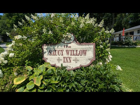 Saucy Willow Review 2024